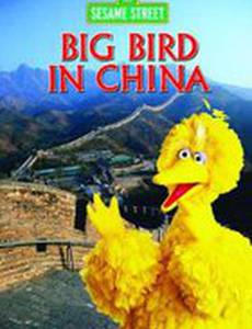 Big Bird in China