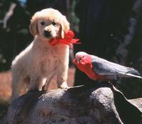 Кадр Наполеон