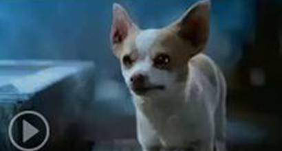 Международный тизер