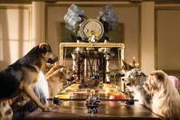 Кадр Отель для собак