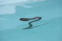 Кадр Две жизни Даниэля Шора