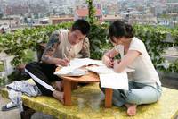 Кадр Подсолнух