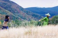 Кадр Дом летающих кинжалов