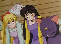 Кадр Красавица-воин Сейлор Мун Эр