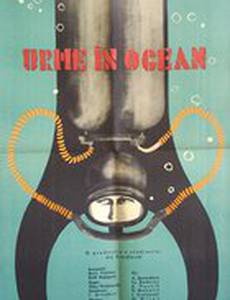 След в океане