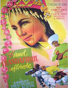 Далекая невеста