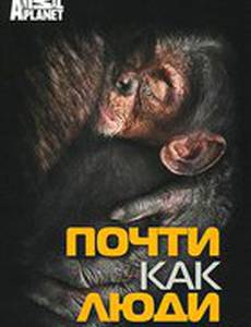 Discovery: Почти как люди