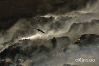 Кадр Дом. История путешествия