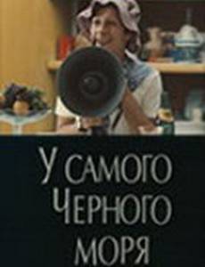 У самого Чёрного моря