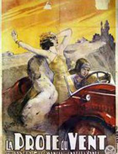 Добыча ветра