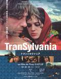 Постер из фильма "Трансильвания" - 1