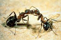 Кадр Микрокосмос