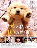 Постер из фильма "10 обещаний моей собаке" - 1