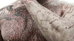 Кадр из фильма "Зомби из Лос-Анджелеса" - 1