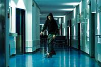 Кадр Лебеди