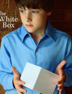 The White Box