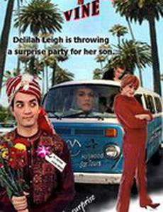 Болливуд и Лоза (видео)