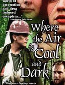 Where the Air Is Cool and Dark