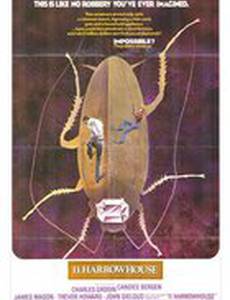 Похитители бриллиантов