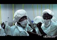 Кадр Кошмар Дарвина