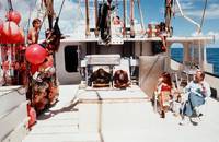 Кадр Новые Робинзоны