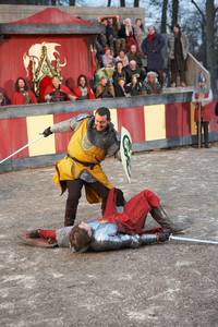 Кадр Мерлин