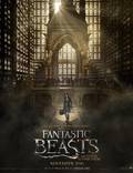 Постер из фильма "Фантастические твари и где они обитают" - 1