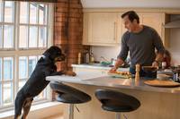 Кадр Полицейский пес 