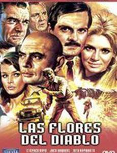 Маки – это тоже цветы