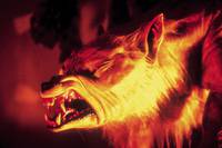 Кадр Оборотень