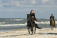 Кадр Эффи Брист