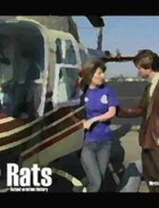 Hangar Rats