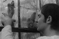 Кадр Свадебная ваза