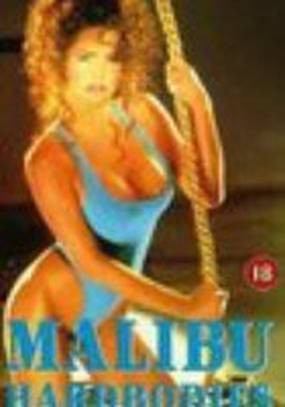 Malibu Hardbodies 2: Behind the Scenes