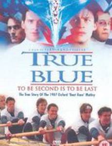 Последняя истина