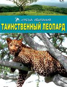 Таинственный леопард