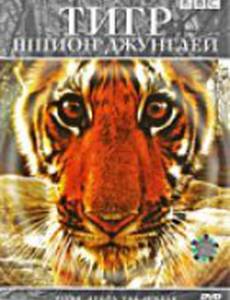 BBC: Тигр – Шпион джунглей (мини-сериал)