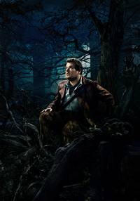 Постер Чем дальше в лес... (В темном-темном лесу)