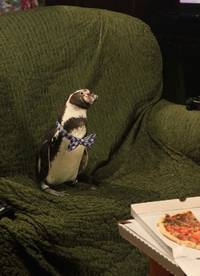 Кадр Даёшь молодёжь!