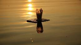 Кадр из фильма "Богатства Дуная" - 2