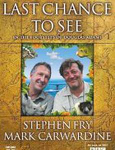 Последний шанс увидеть