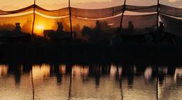 Кадр из фильма "Боевой конь" - 1