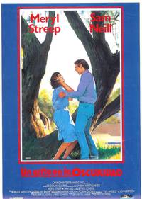 Постер Крик во тьме