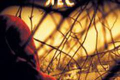 Таинственный лес