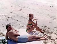 Кадр Калифорнийский отель