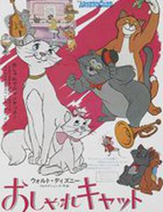 Коты-аристократы