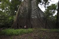 Кадр В один прекрасный день