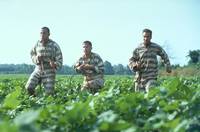 Кадр О, где же ты, брат?