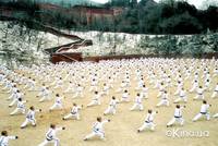 Кадр Серебряный ястреб