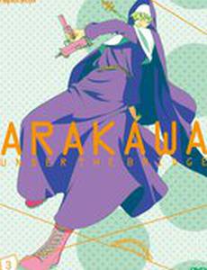 Под мостом над Аракавой